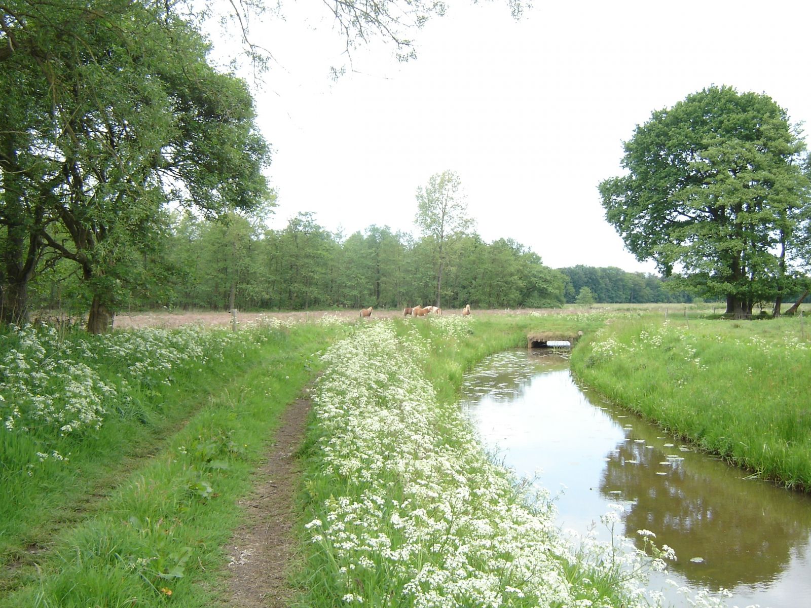 Omgeving