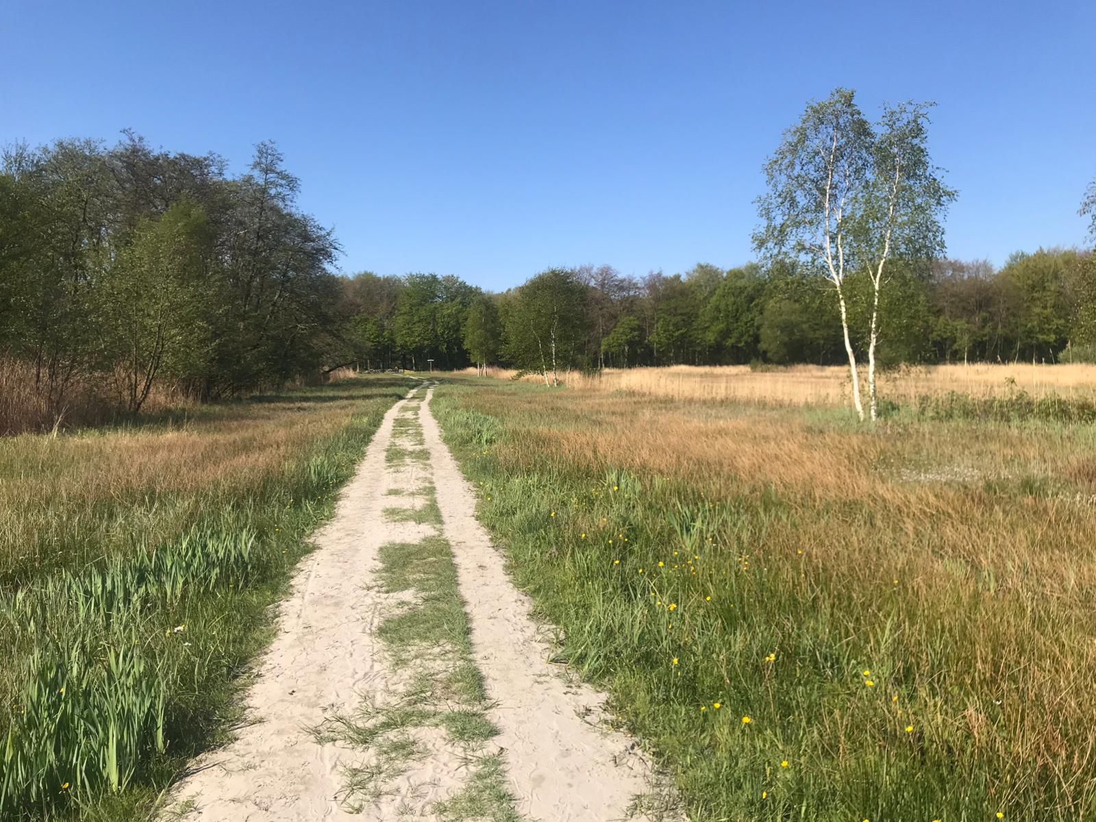 Omgeving