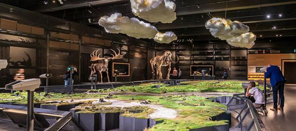 Hotels dichtbij Naturalis Biodiversity Center