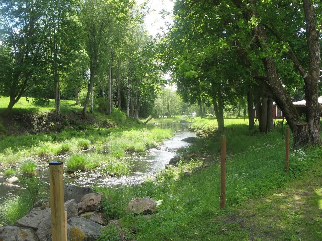 Omgeving