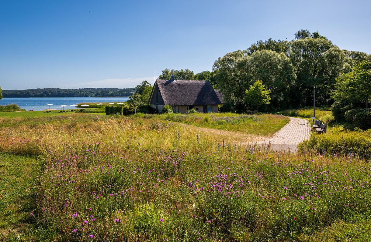 Omgeving