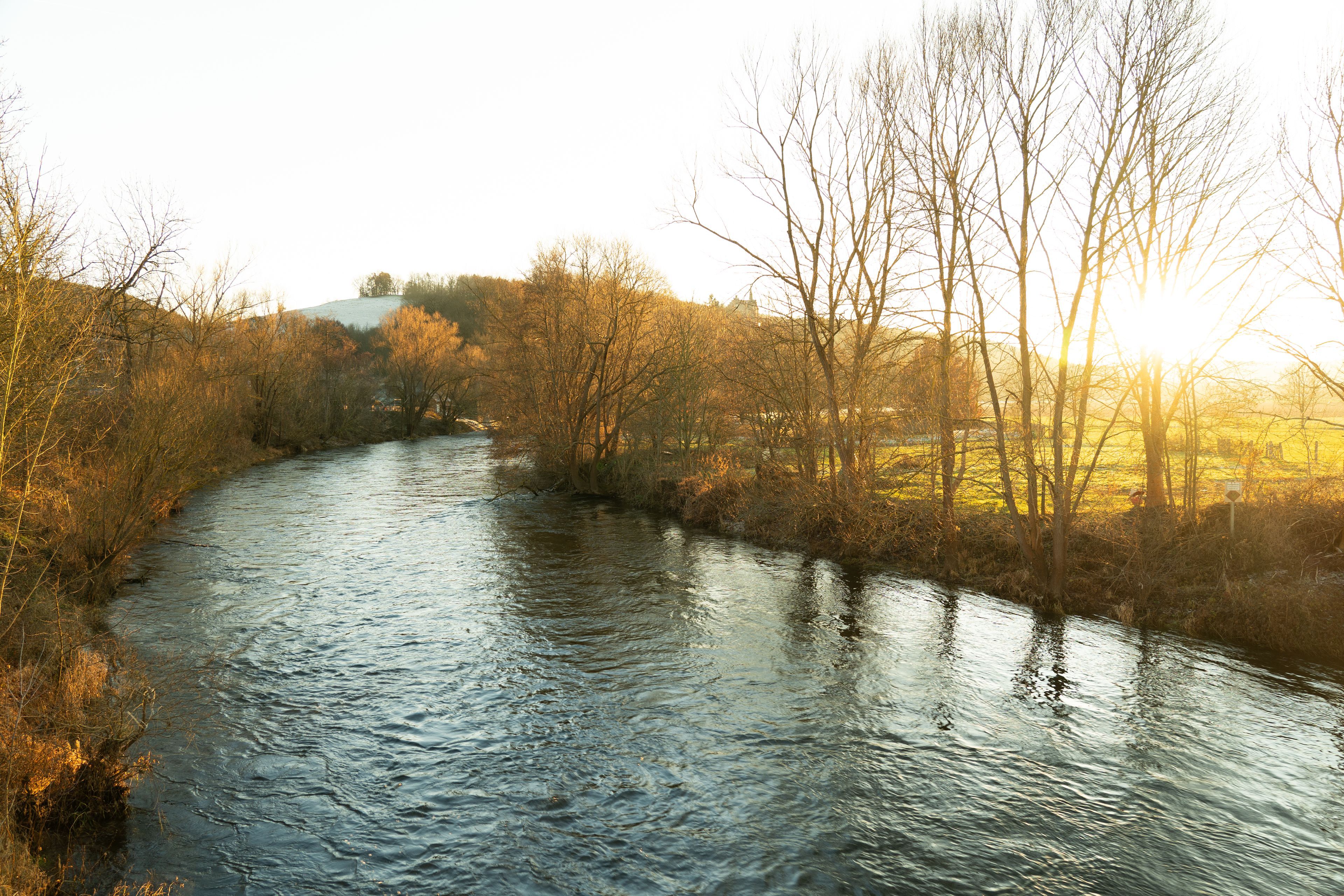 Omgeving