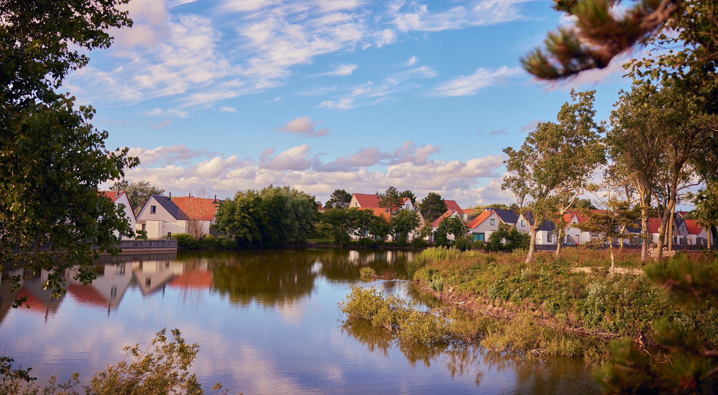 Omgeving