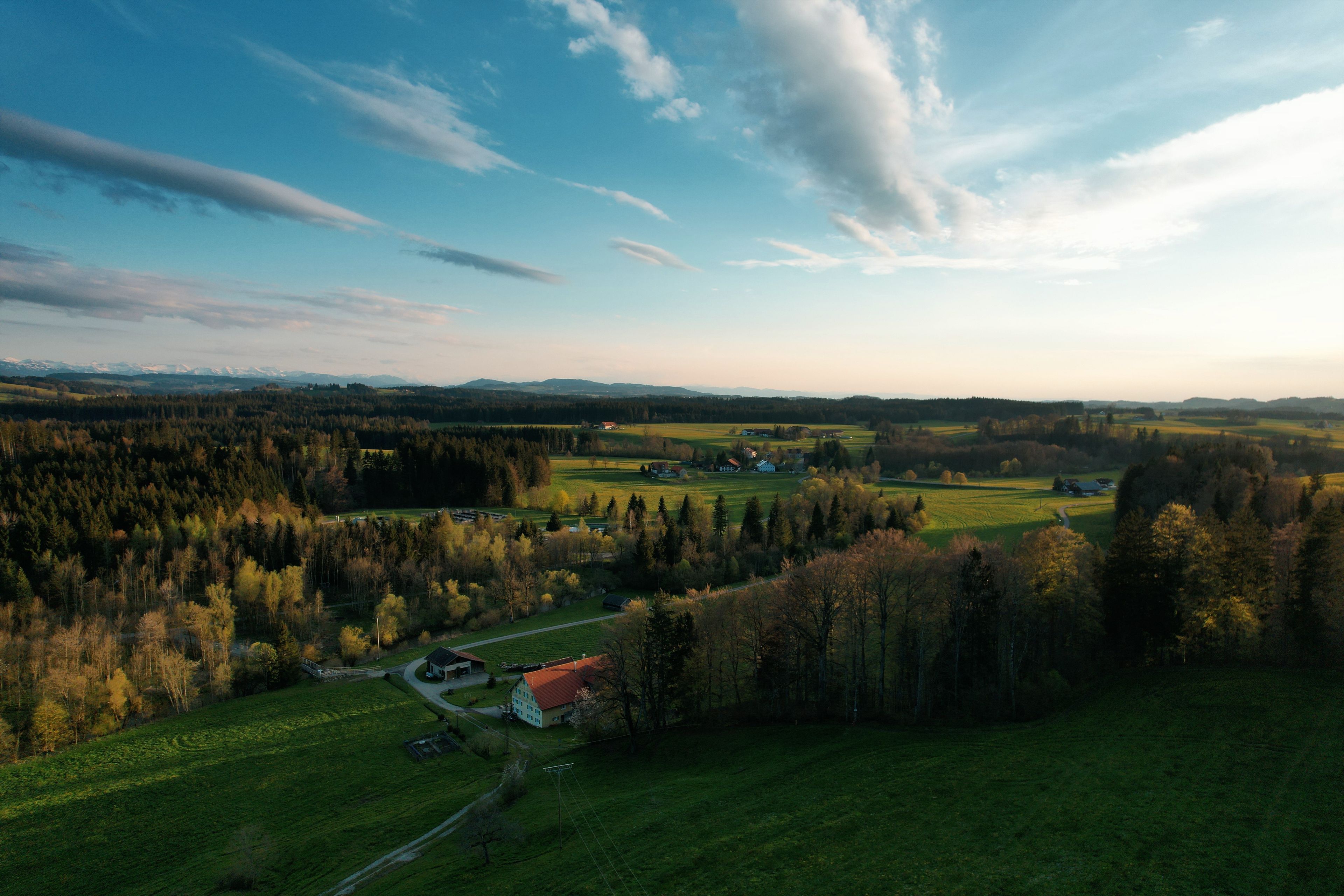 Omgeving