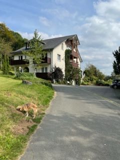 Omgeving