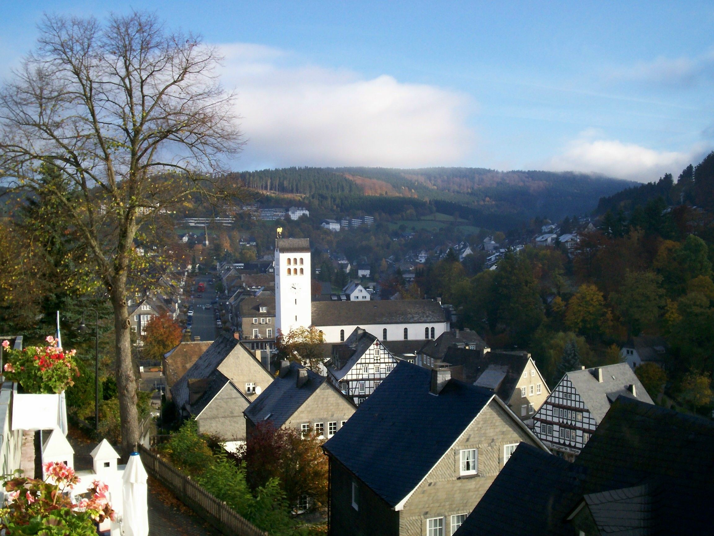 Omgeving