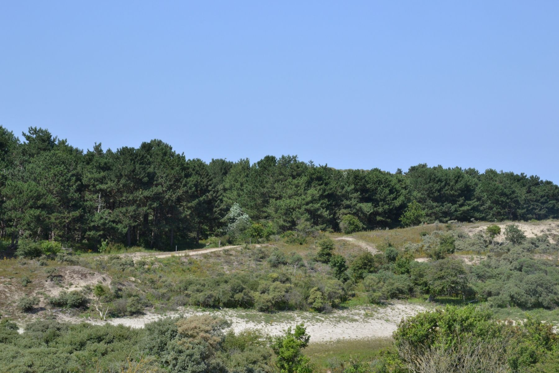 Omgeving