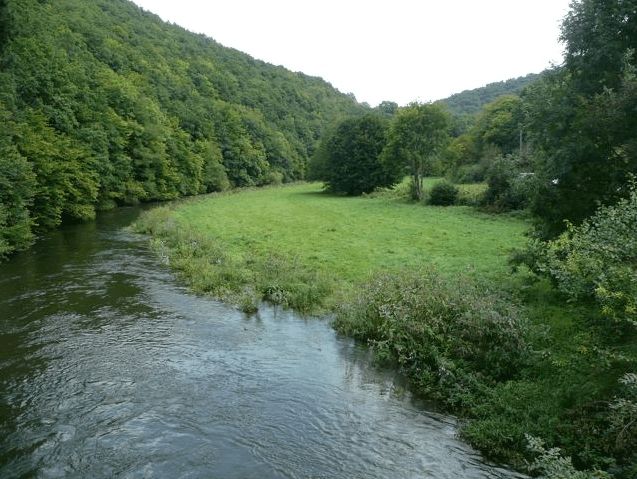 Omgeving