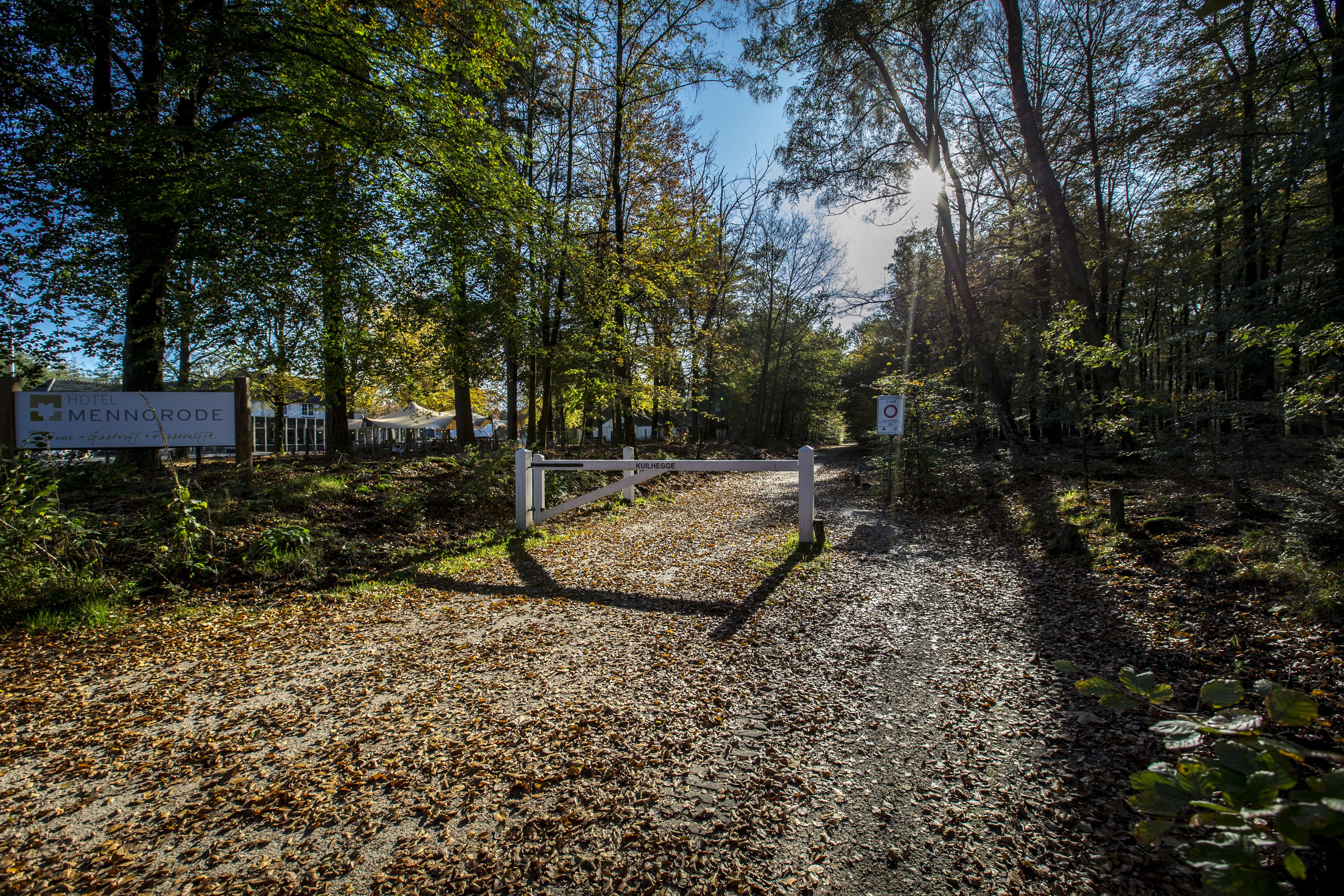 Omgeving