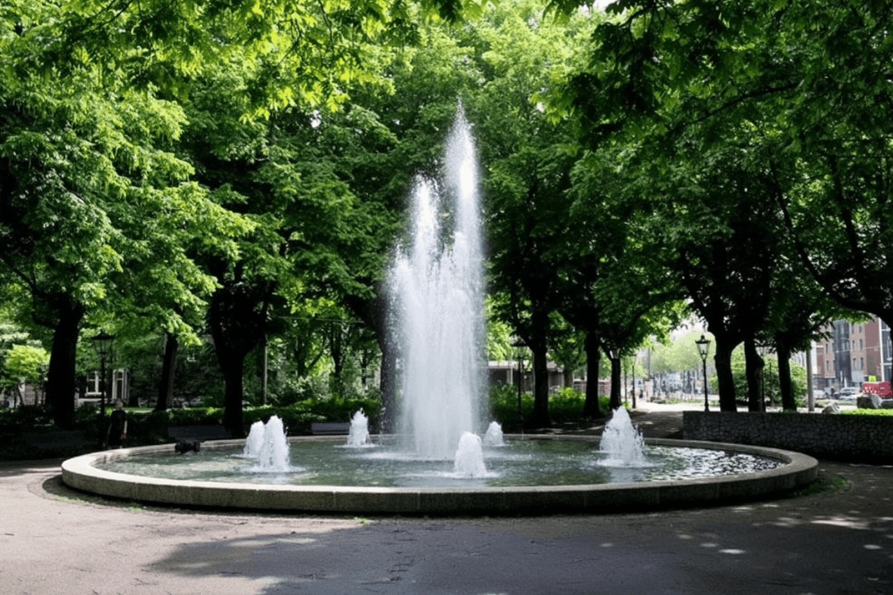 Omgeving
