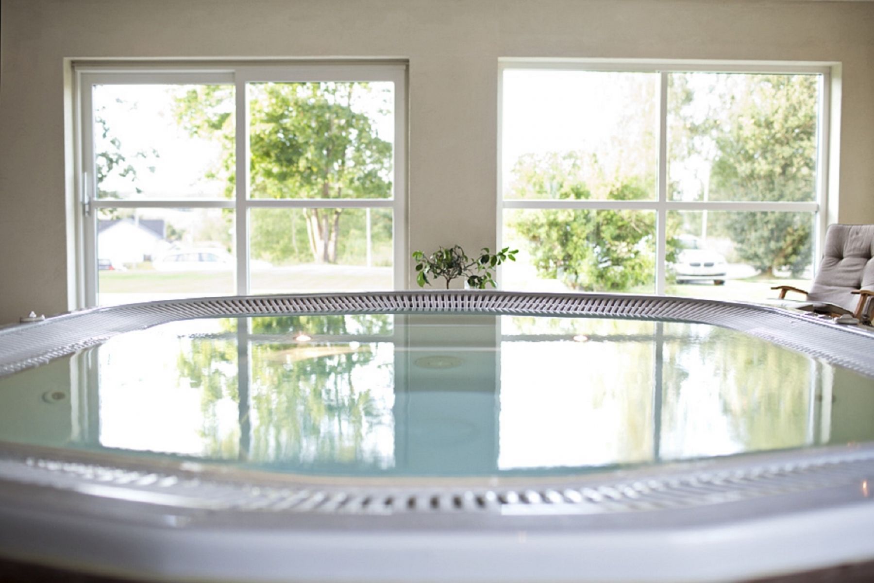 Wellness