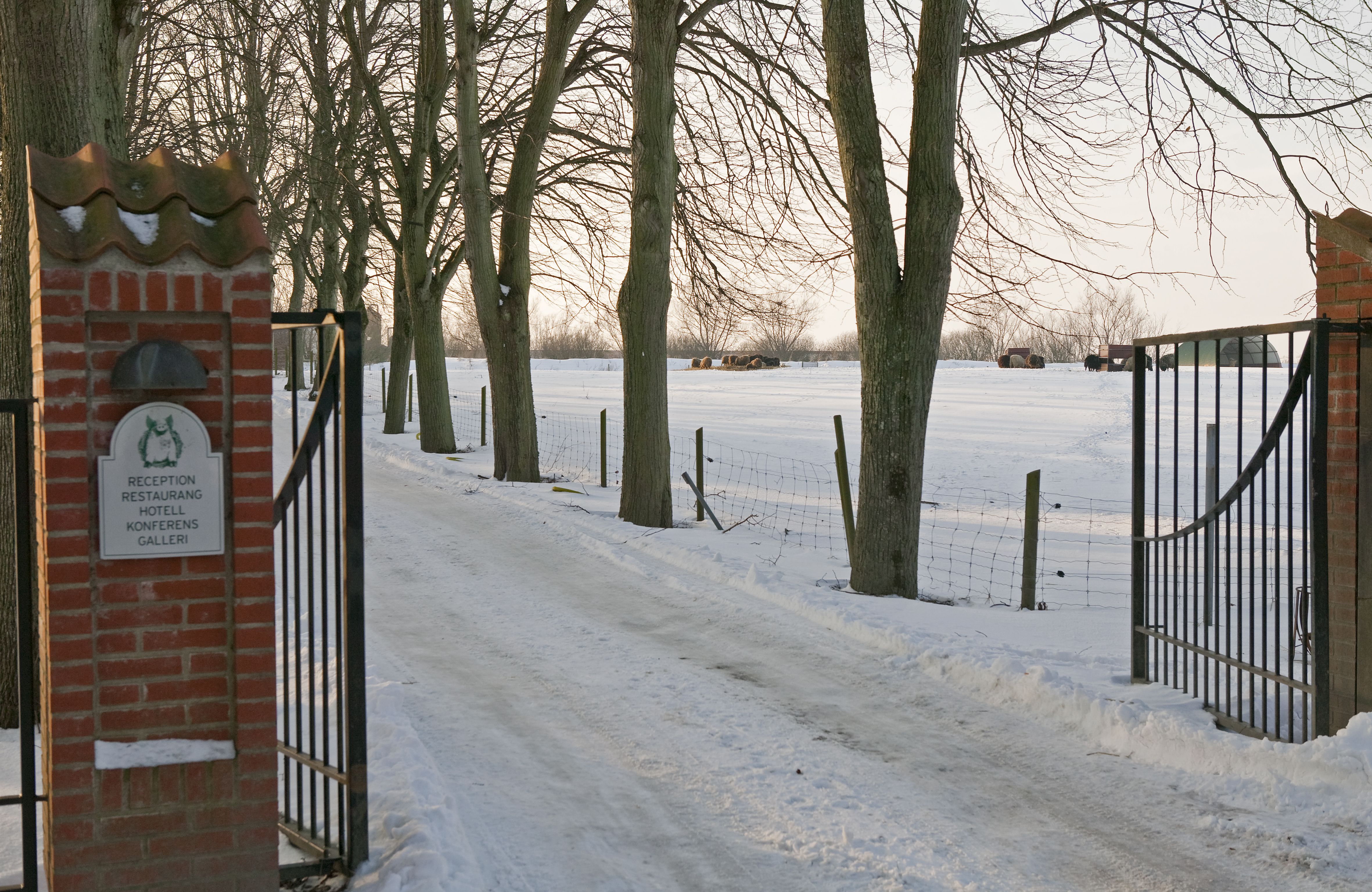 Omgeving