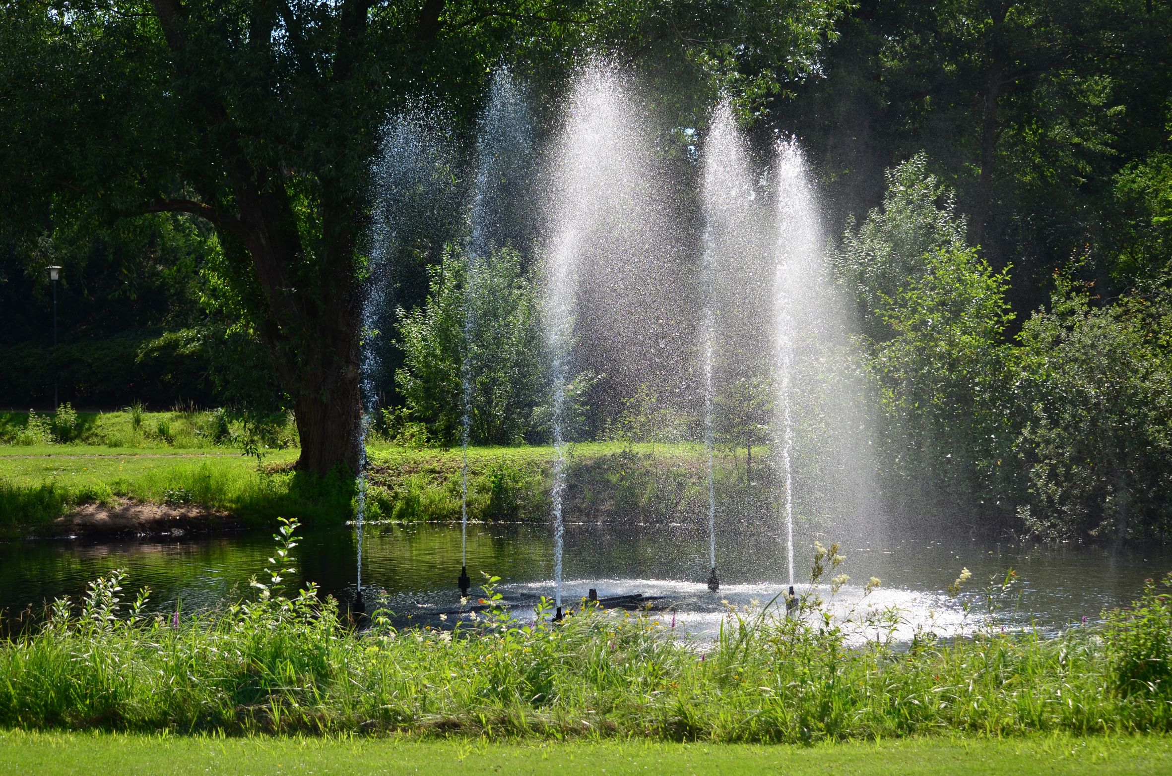 Omgeving