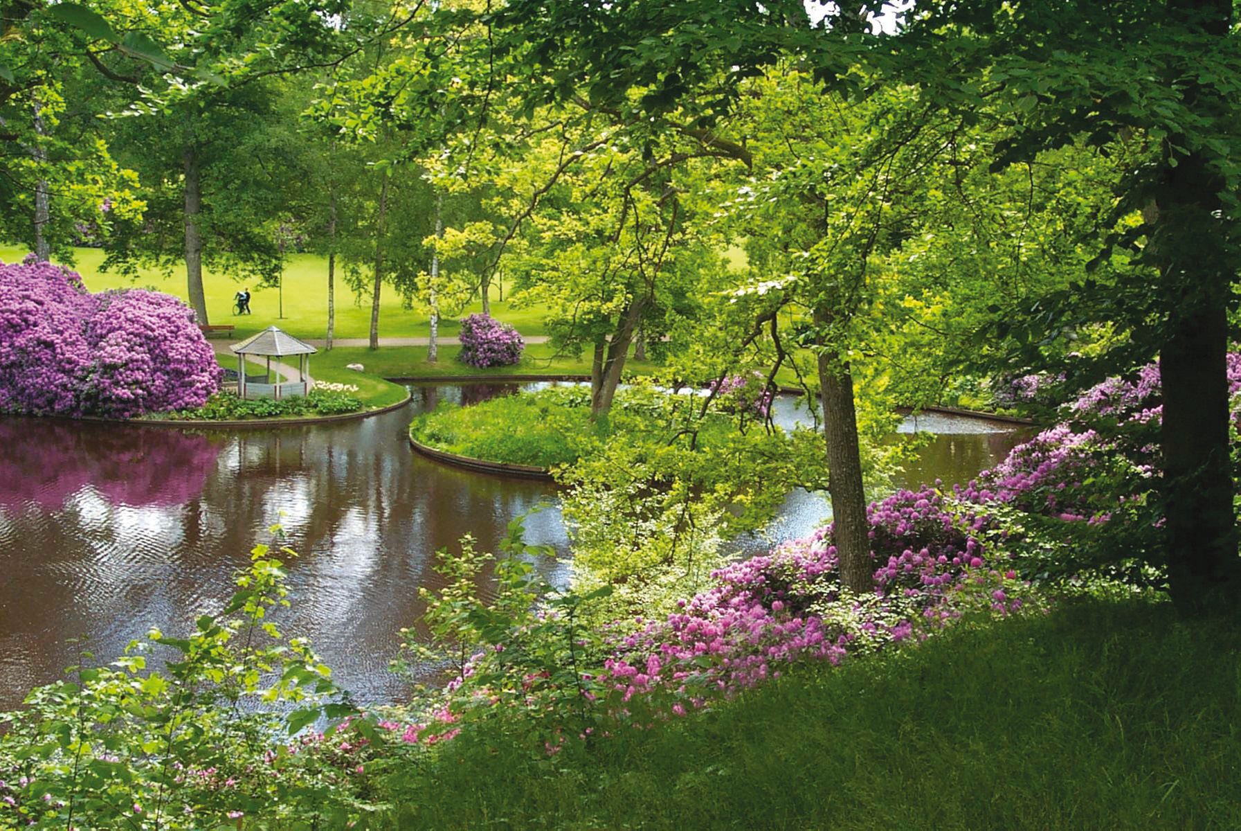 Omgeving