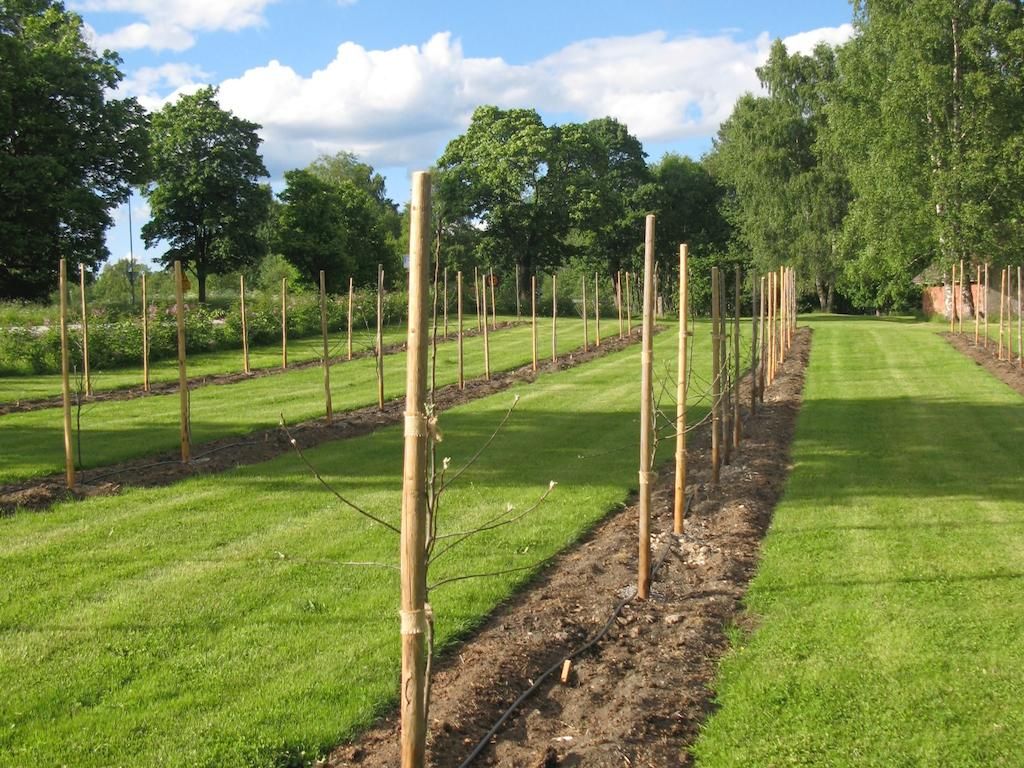 Omgeving
