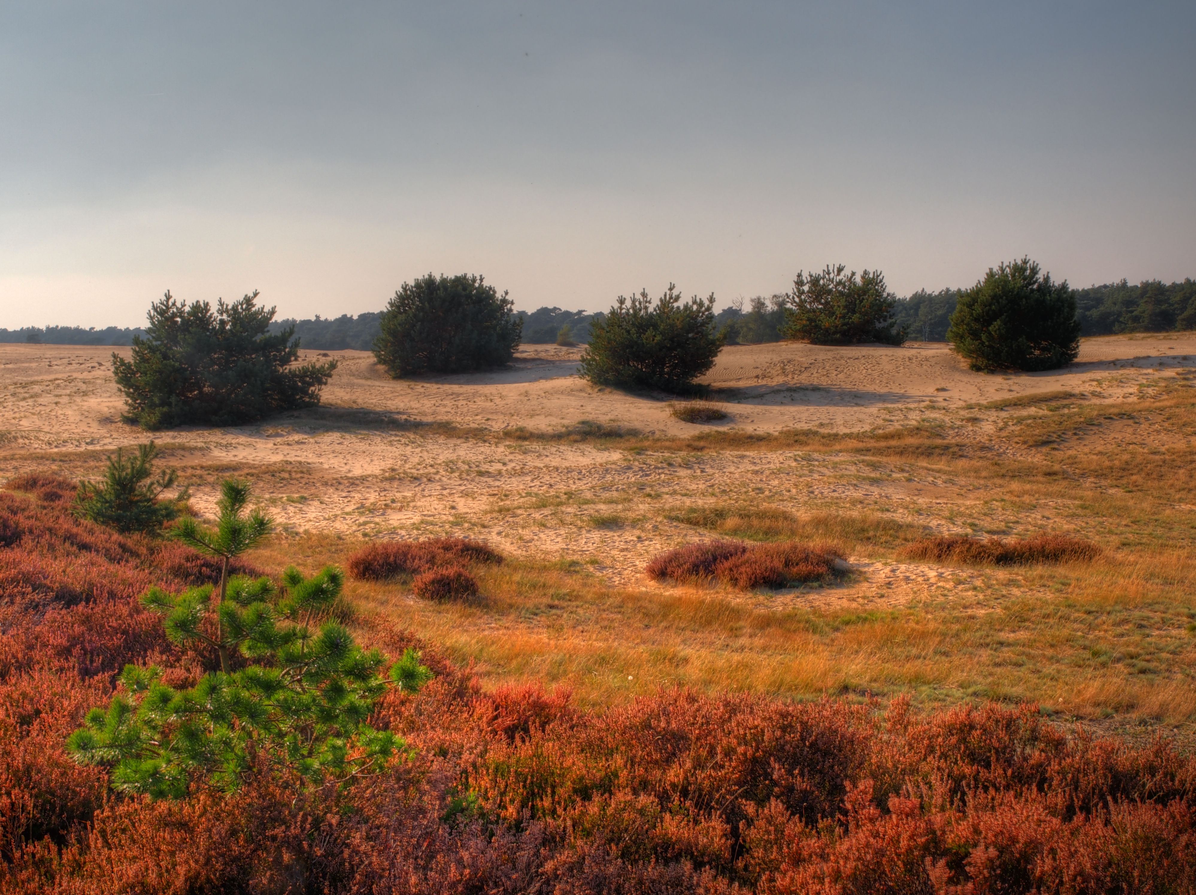 Omgeving