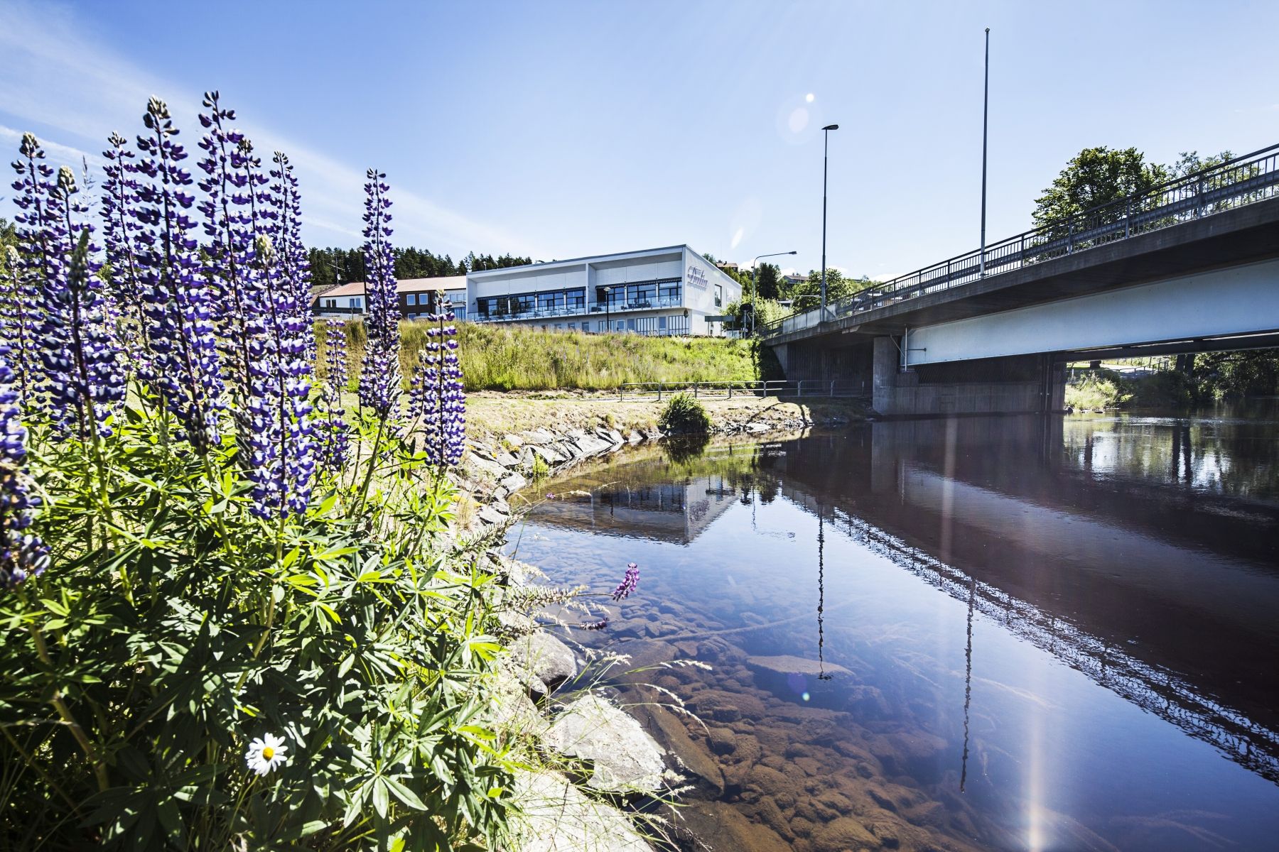 Omgeving