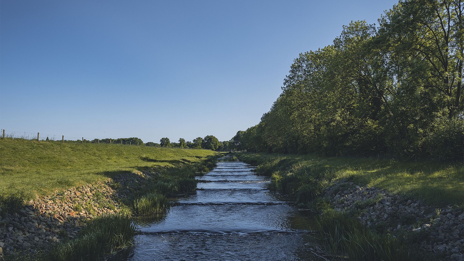 Omgeving
