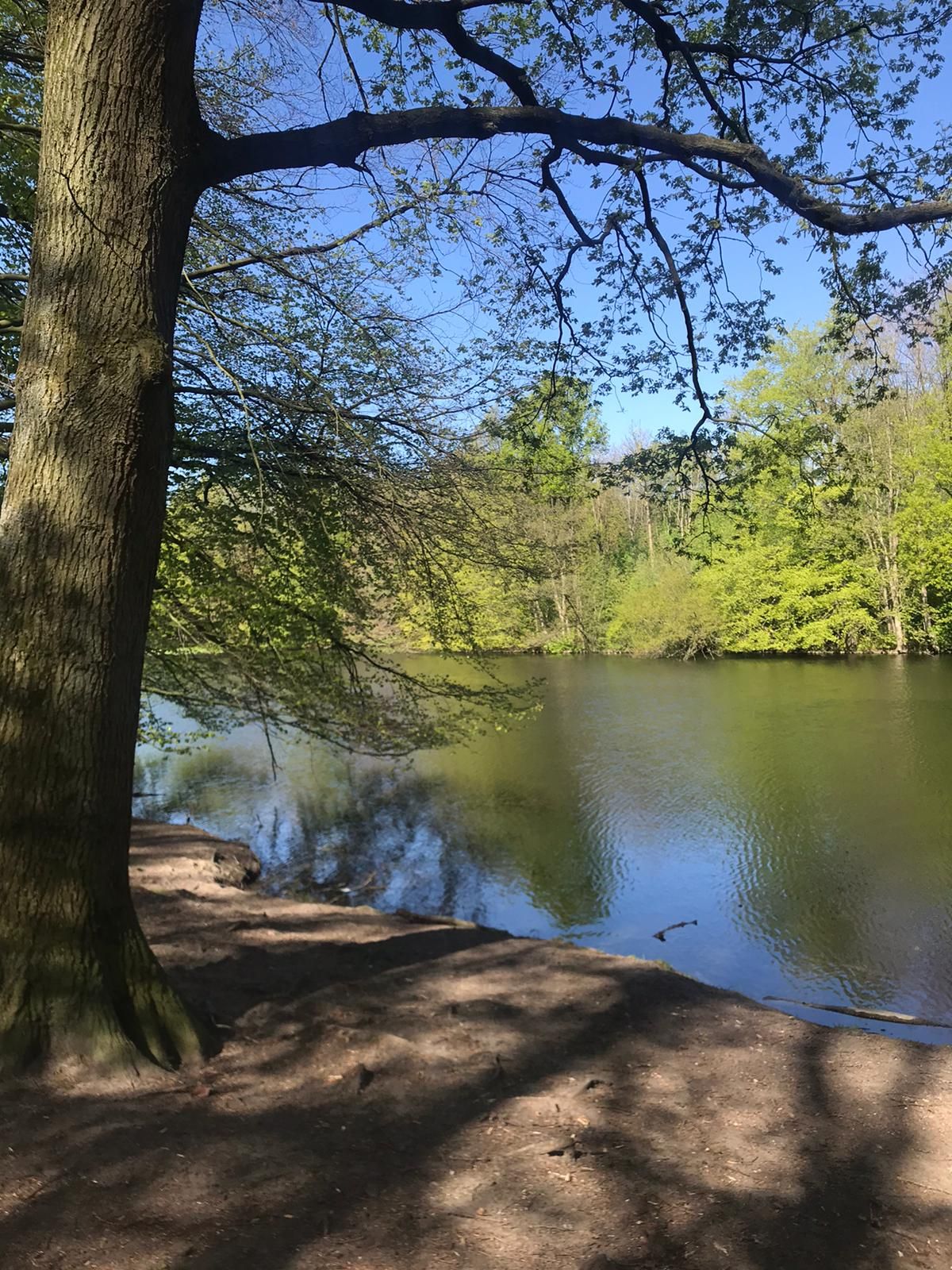 Omgeving