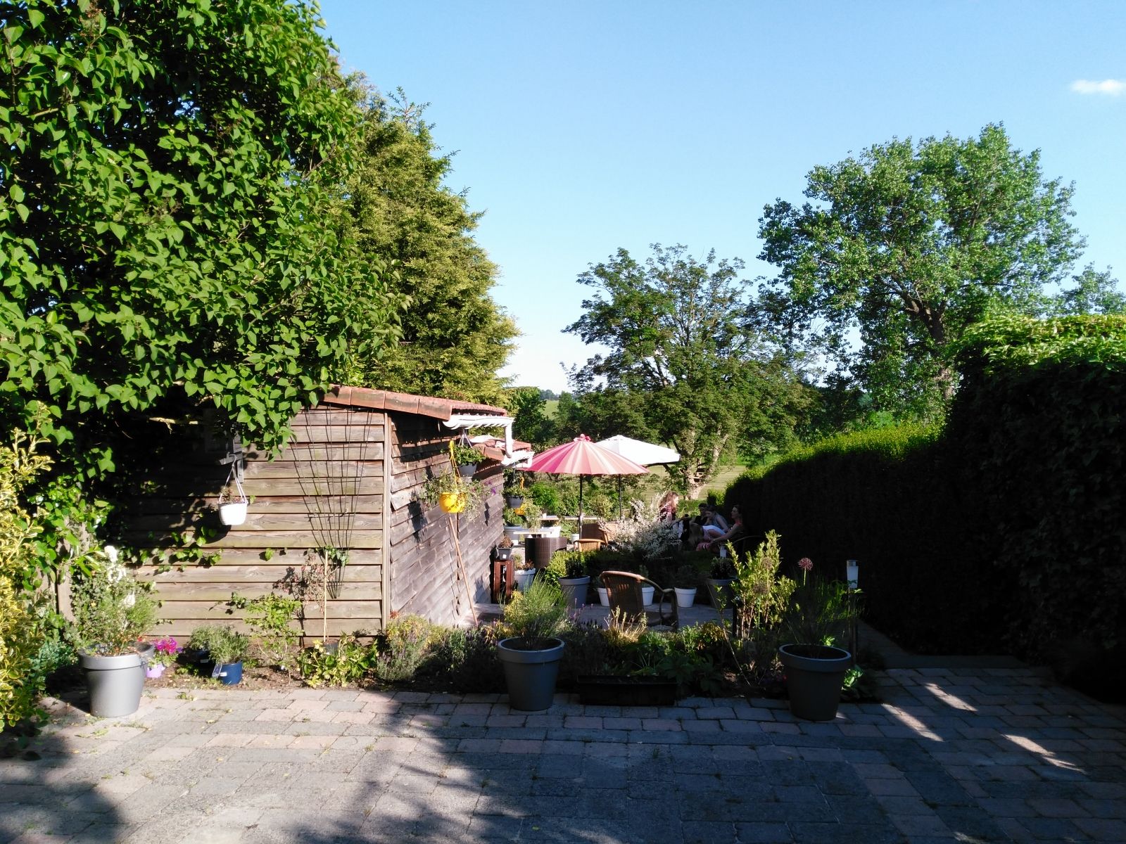 accommodatie