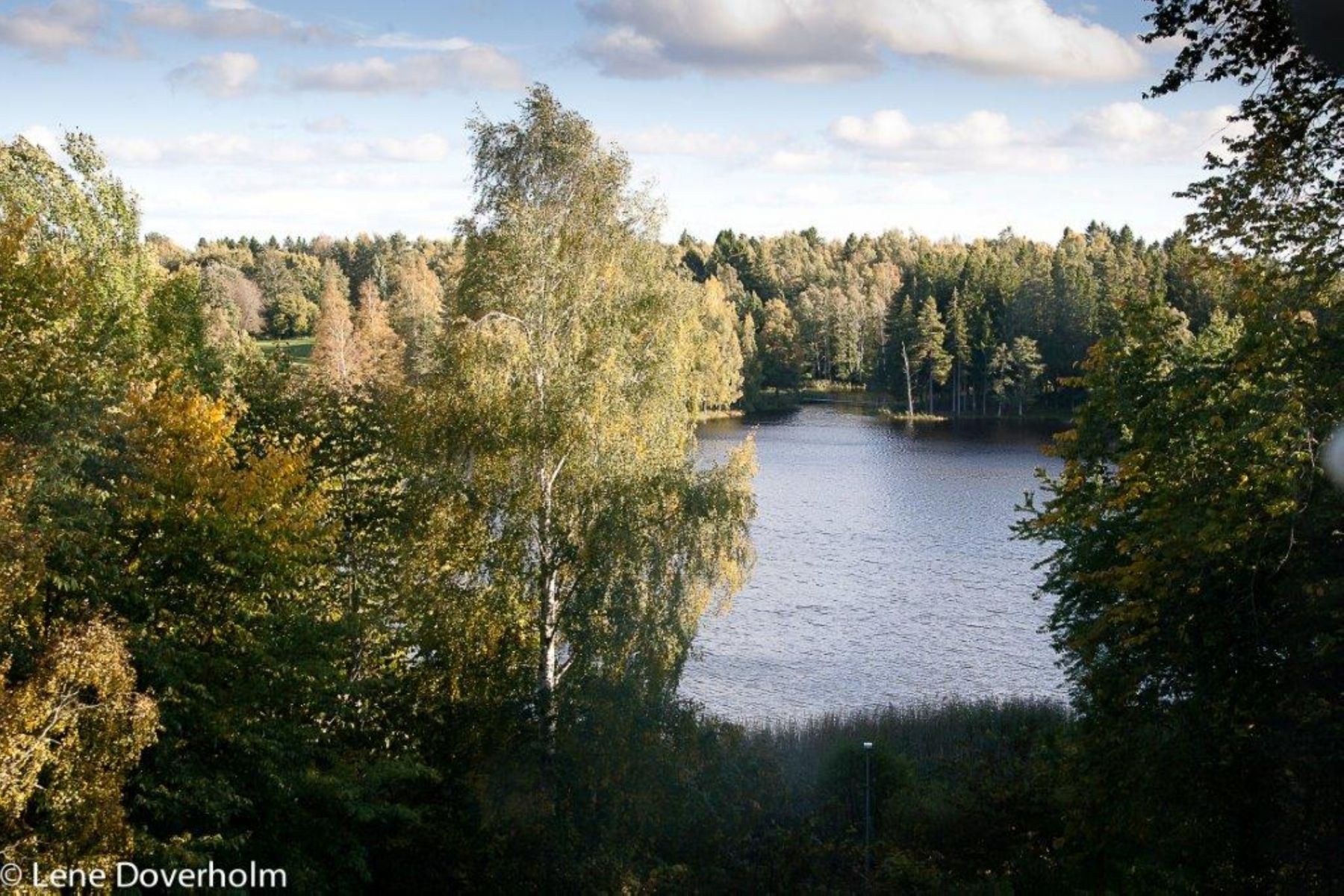 Omgeving