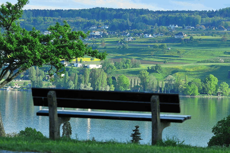 Omgeving