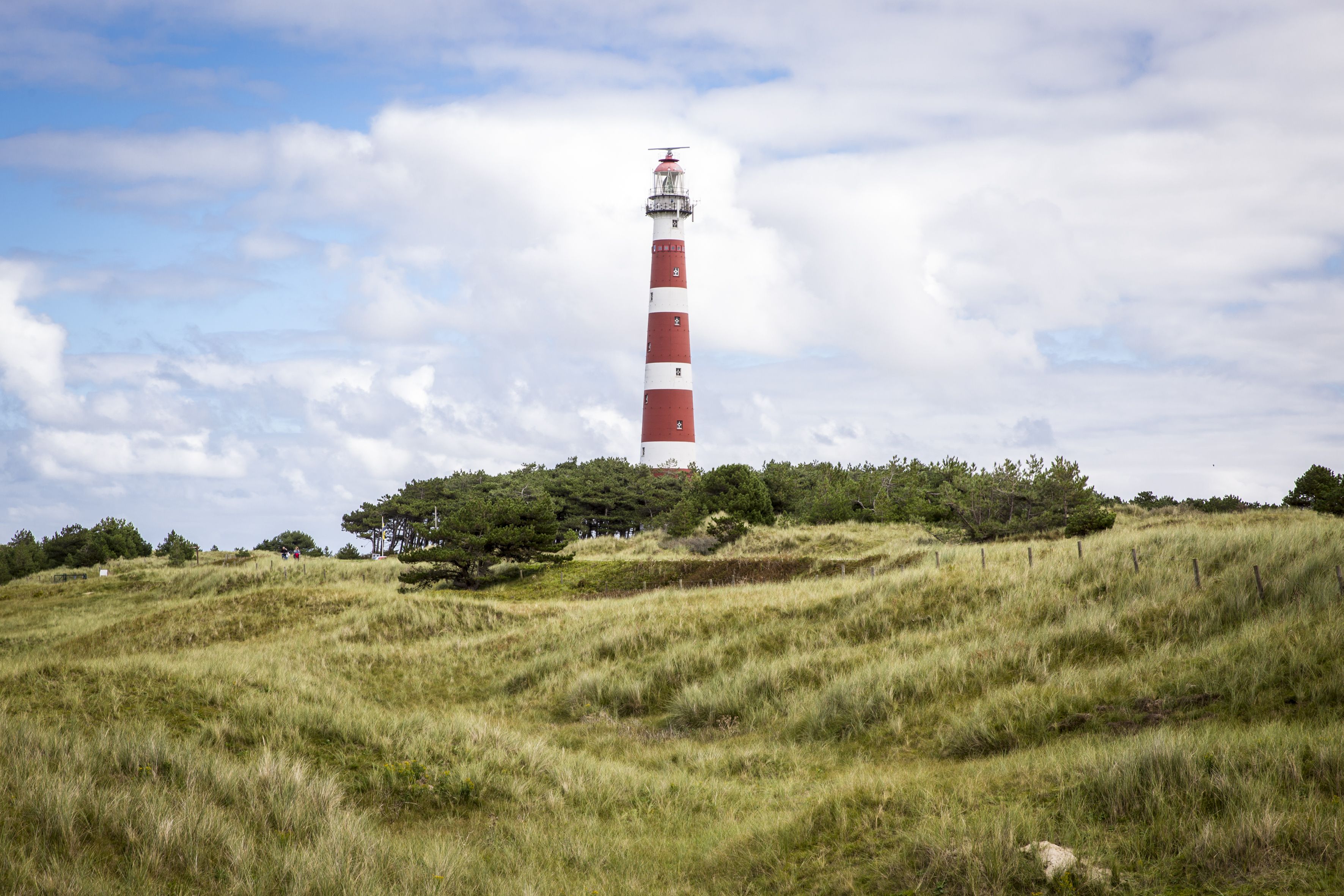 Omgeving