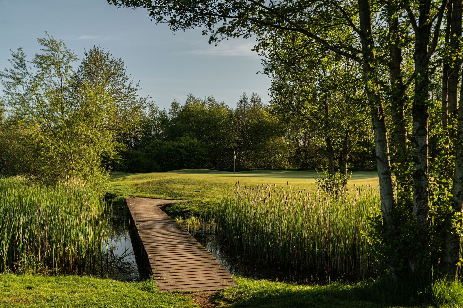 Omgeving