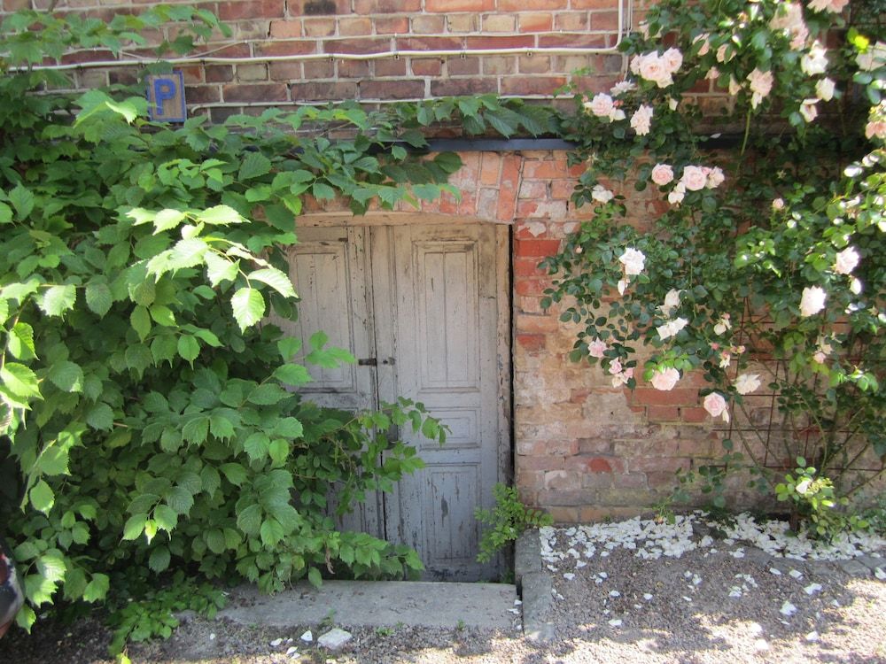 Algemeen