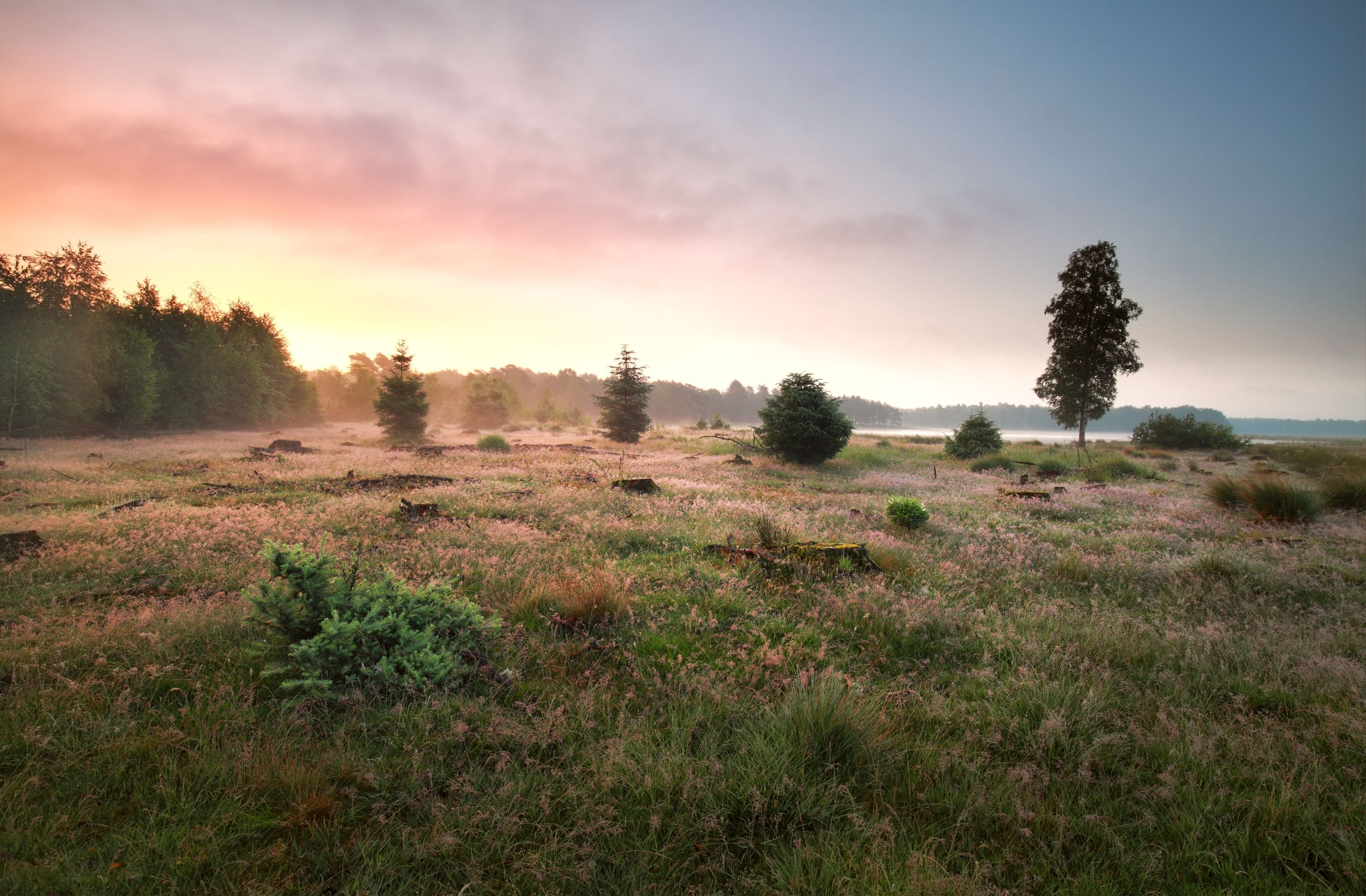 Omgeving